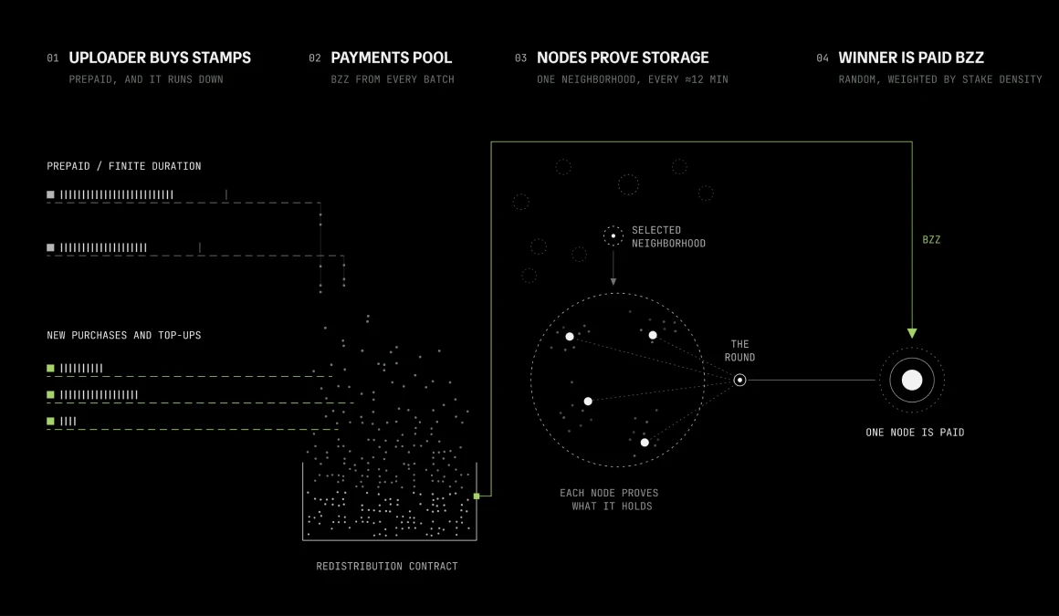 The Swarm value loop in four steps. 01, uploader buys stamps: prepaid, and it runs down; finite batches and new purchases and top-ups flow into 02, the payments pool, BZZ from every batch, held by the redistribution contract. 03, nodes prove storage: one neighborhood, every ~12 minutes, is selected and each node proves what it holds in the round. 04, winner is paid BZZ: random, weighted by stake density; one node is paid.